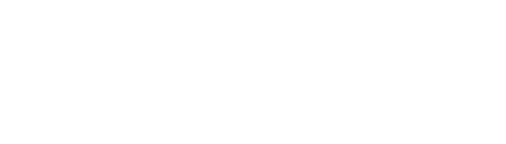 Logo Blanco Finesa Seguros