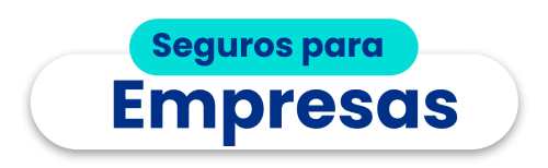 Seguros Para Empresas